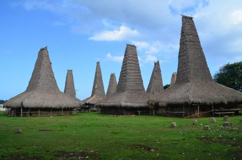Destinasi Sumba Timur, Hidden Gem dengan Sejuta Keindahan Nusantara